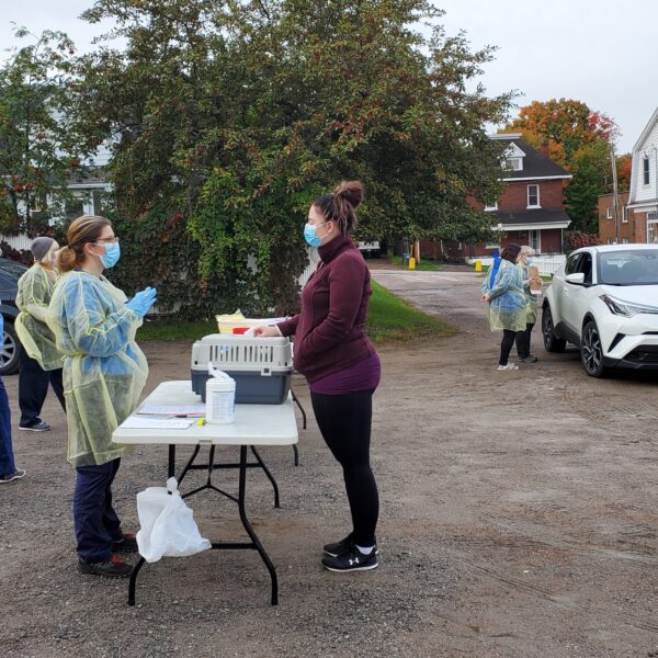 mobile unit, cat spay neuter