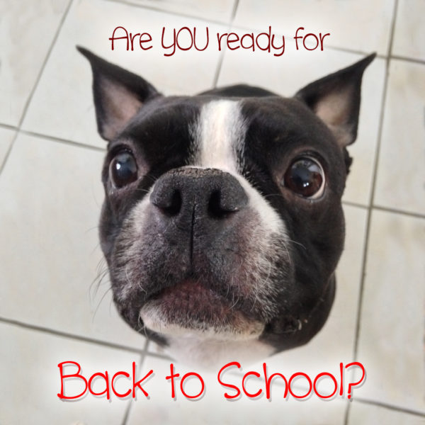 back to school, adopt