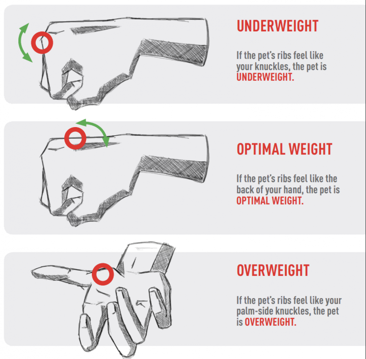 body condition scoring, royal canin