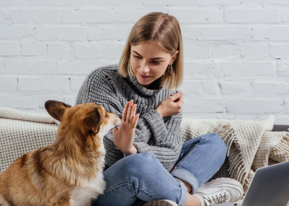 Dog with owner on couch