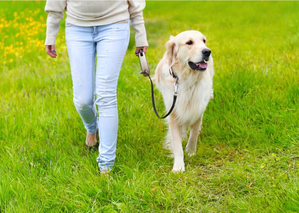 Owner with dog on leash